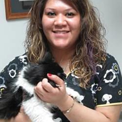 staff6 Veterinarian Waukegan IL