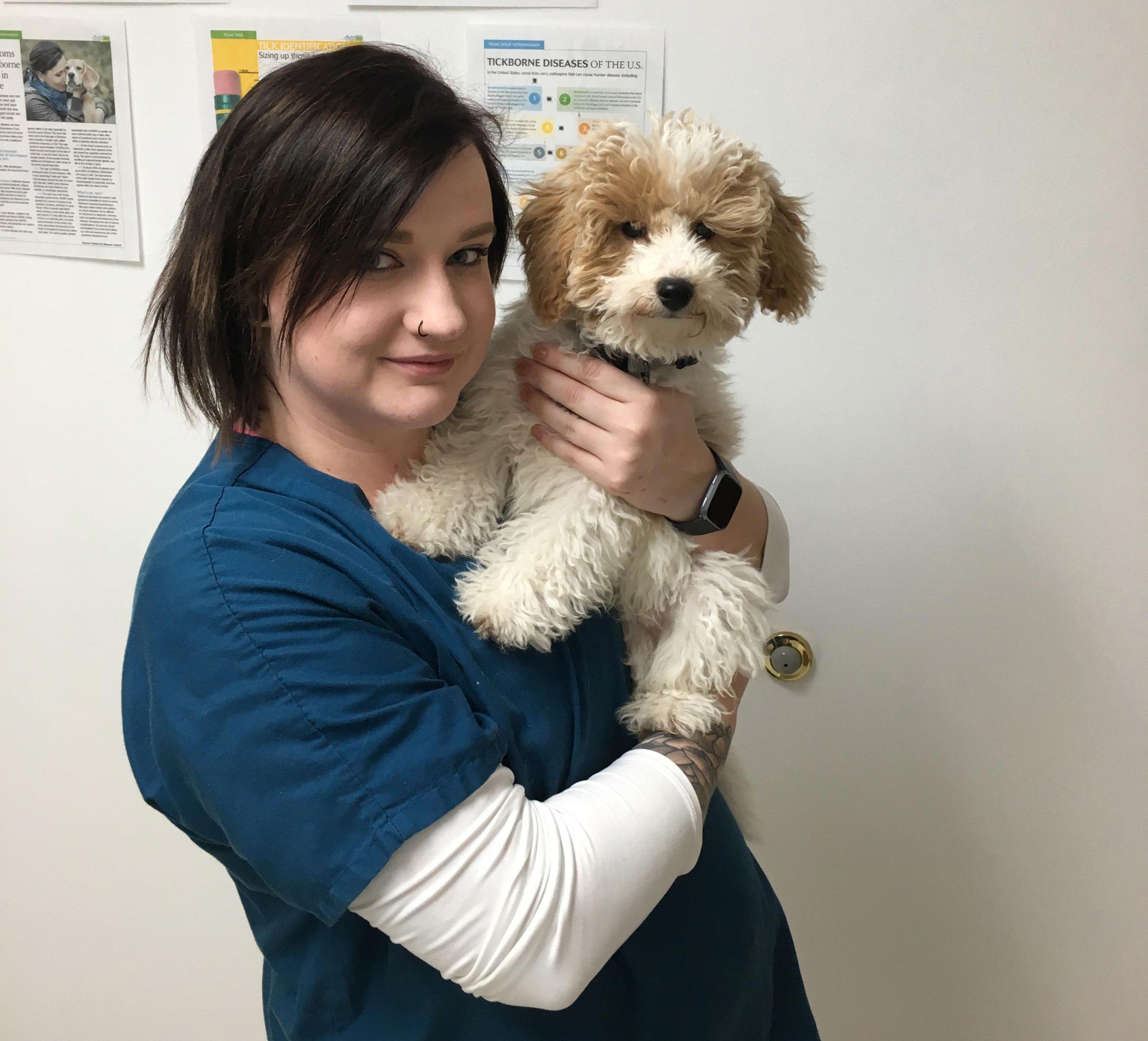 staff3 Veterinarian Waukegan IL